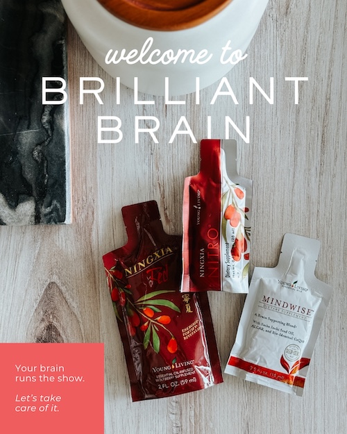 The Brilliant Brain