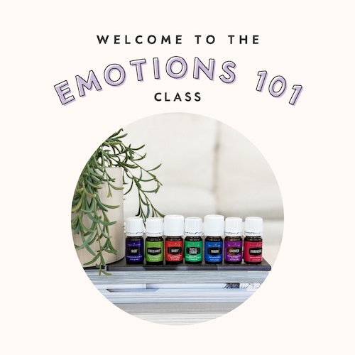 Emotions 101