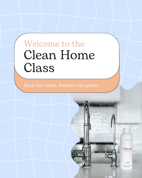 Clean Home